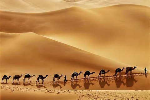 Песчаные дюны Руб-эль-Хали