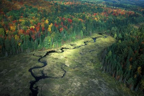 Осенние пейзажи Алгонкинского провинциального парка