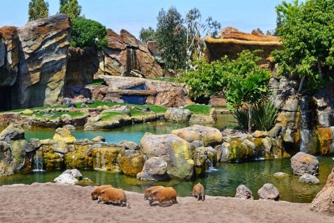 Биопарк Валенсии: Интерактивный Зоопарк