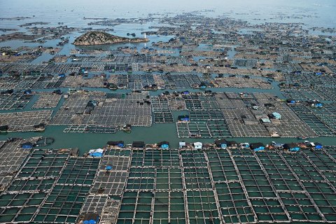 Плавающие рыбные фермы Китая