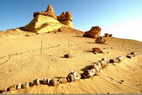 Вади-аль-Хитан: Долина китов в Египте