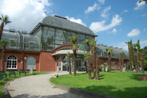 Сад Пальм Пальменгартен, Франкфурт