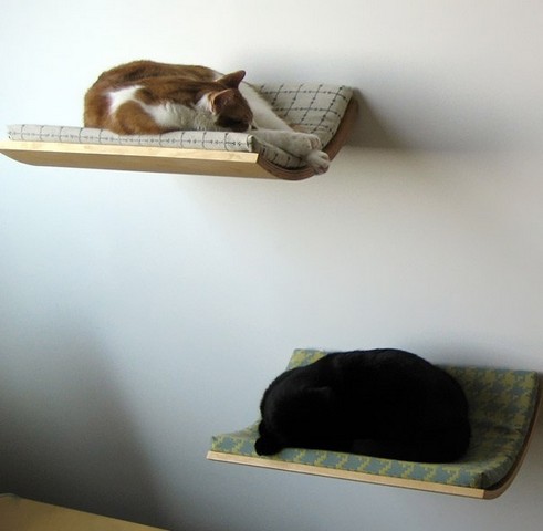 Кроватки для кошек