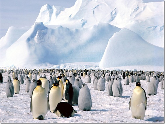 a,_antarctica