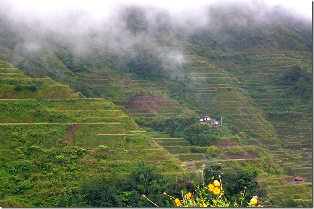 banaue-rice-terraces-with-fog