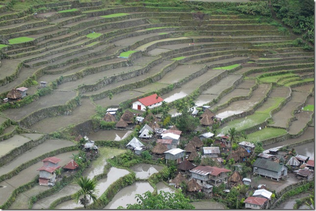 banaue-rice-terraces-with-houses-and-view-of-some-green