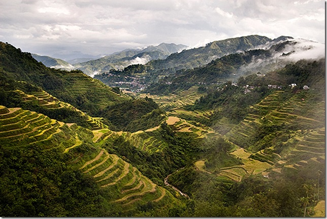 rice-terraces-philippine-cirdilleras