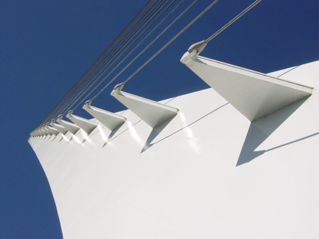 White White