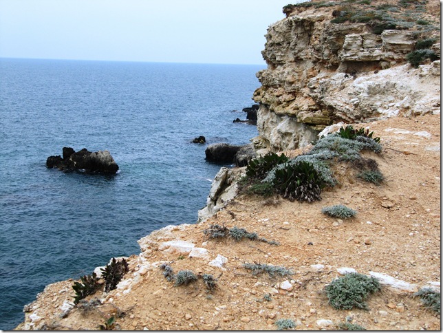 IMG_0452 IMG_0452