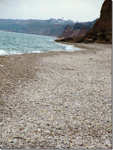 IMG_0548 IMG_0548