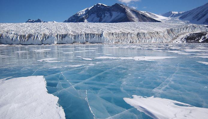 ледники антарктики
