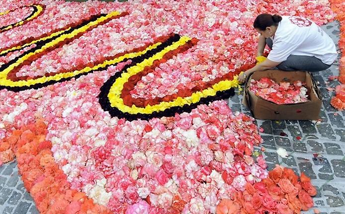 ковер из цветов в Брюсселе