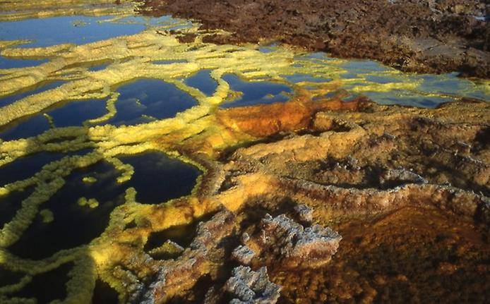 ������ ������