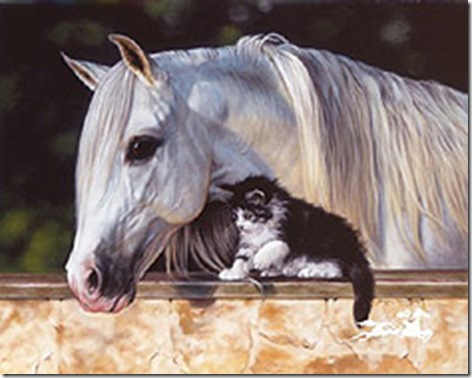 LesleyHarrison-PintSizeFriendt