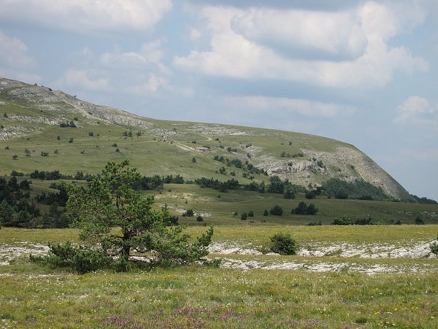 yailakrim