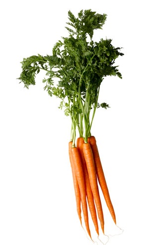 Десять самых полезных продуктов carrot