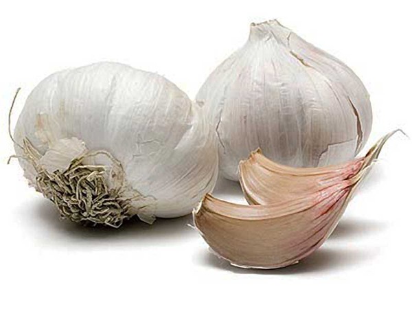 Десять самых полезных продуктов garlic