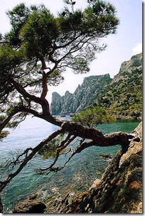 Crimea98-63.3