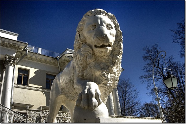 лев лев