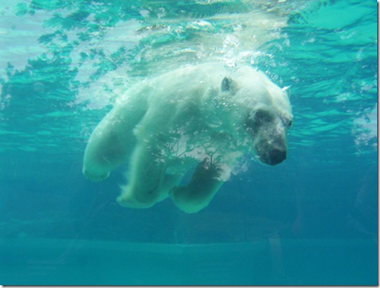 Zoopark-dlya-givot Zoopark-dlya-givot