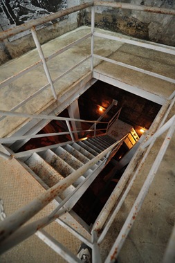 bv_Ni737587