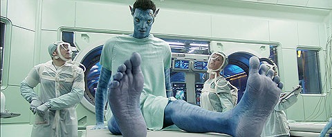img17509_8 img17509_8