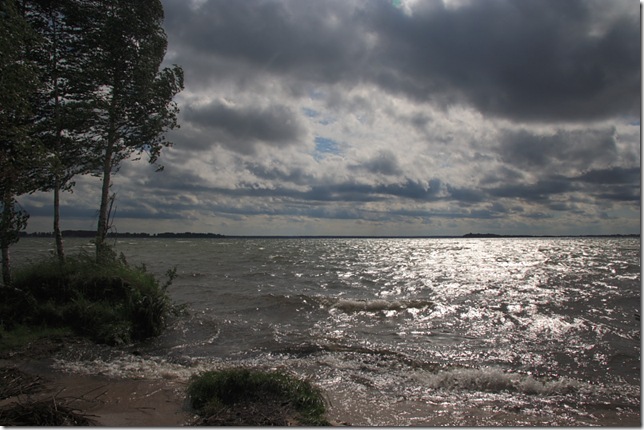 Украинские ученые снова бьют тревогу, спасая Шацкие озера