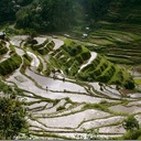 Рисовые террасы в Банауэ, Филиппины