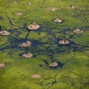 Судд: Труднодоступные болота в Южном Судане