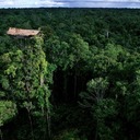 Племя Короваи и дома на деревьях в Папуа