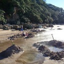 Пляж Горячей Воды в Новой Зеландии