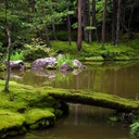 Сад Мхов Сайкодзи в Киото