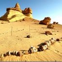 Вади-аль-Хитан: Долина китов в Египте