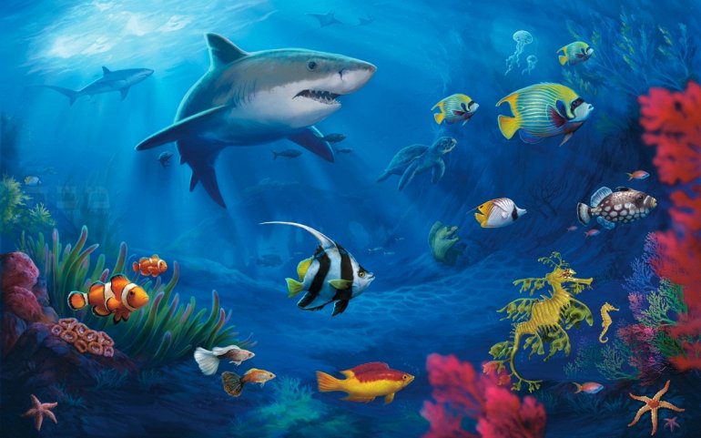 7 чудес подводного мира