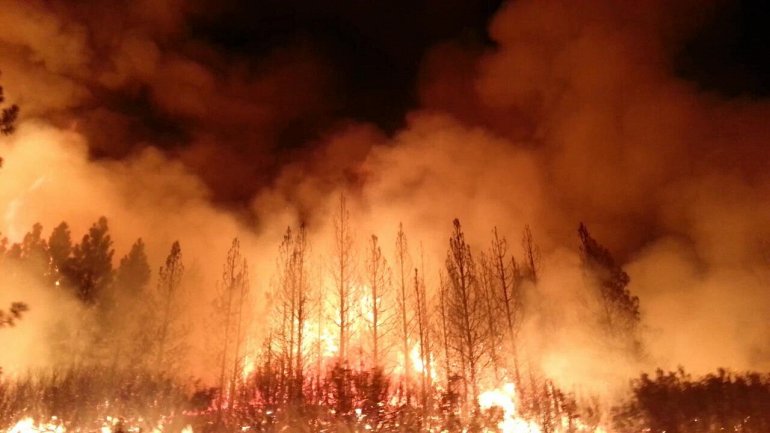 леса калифорнии горят