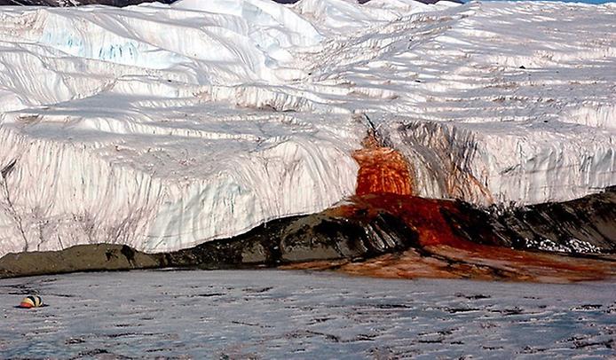 секрет кровавого водопада в антарктике