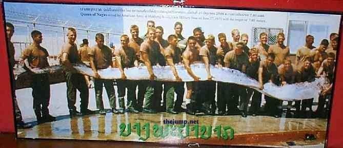 самая длинная рыба