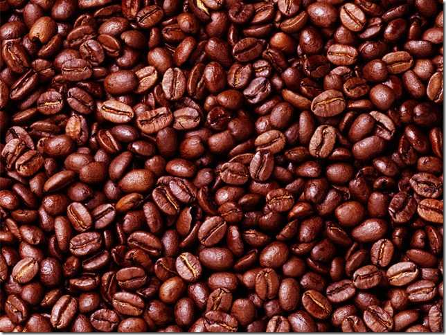 10 интересных фактов и мифов о кофе. coffea_arabica_4