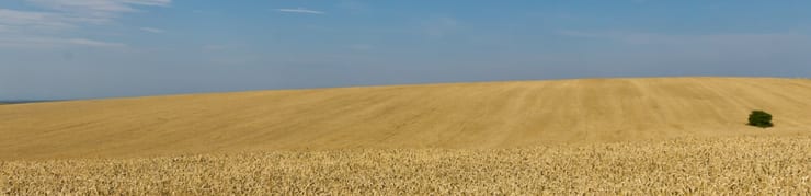 просторы Украины