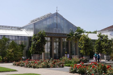 Ботанический сад Университета Гете