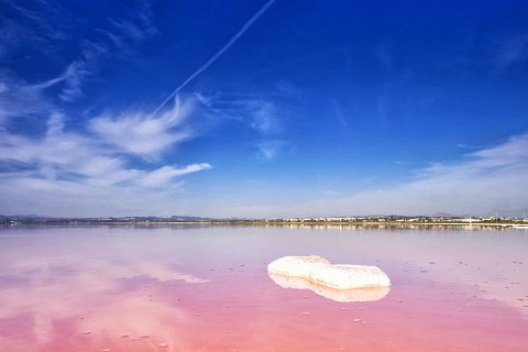 Розовое озеро Испании, Салинас де Торревьеха