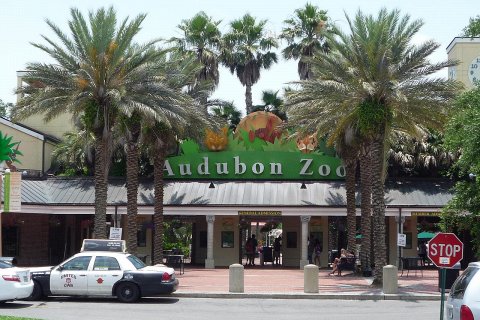 Зоопарк Нового Орлеана - Одюбон