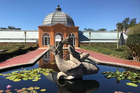 Ботанический Сад Нового Орлеана