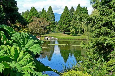 Ботанический сад Ван Дусена в Ванкувере