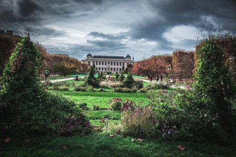 Сад Растений - столетний ботанический сад Парижа