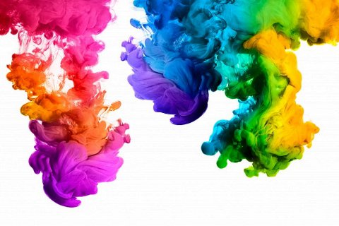 10 интересных фактов о цветах, которые вас удивят