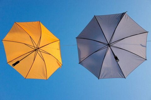 Кто изобрел зонтик? История использования зонтов