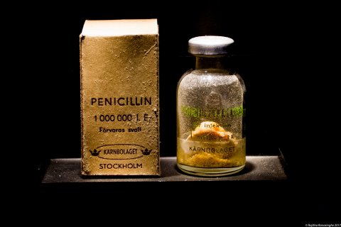 Кто изобрел пенициллин?