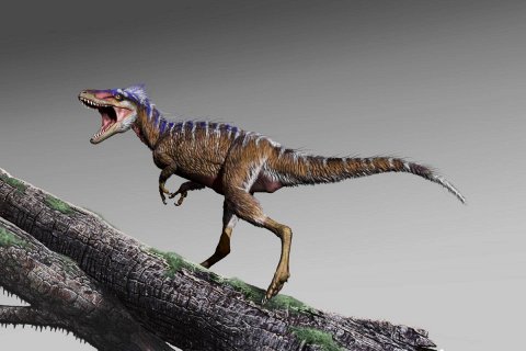 Ученые обнаружили на Мадагаскаре крошечного предка динозавров