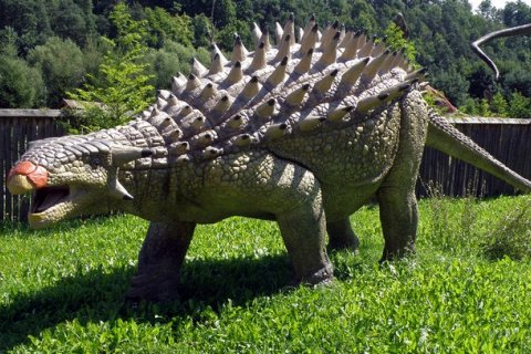 Анкилозавр: похожий на танк травоядный динозавр